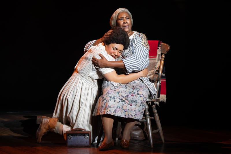 Deidre Lang and Jayna Elise in Tina - The Tina Turner Musical Photo by Julieta Cervantes